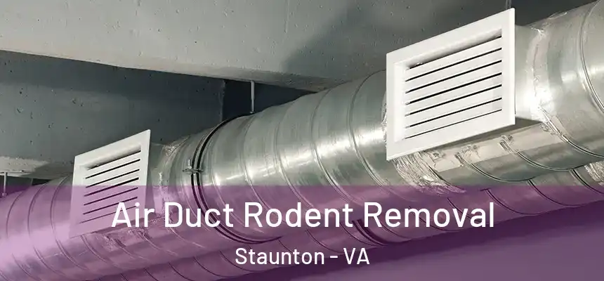  Air Duct Rodent Removal Staunton - VA