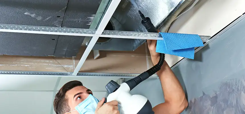 Our Air Duct Rodent Removal Services in Staunton, VA