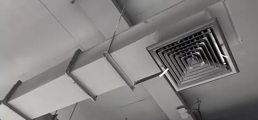 Our Rodent Droppings In Vents Services in Staunton, VA