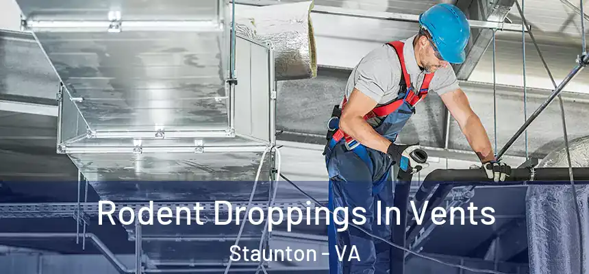  Rodent Droppings In Vents Staunton - VA
