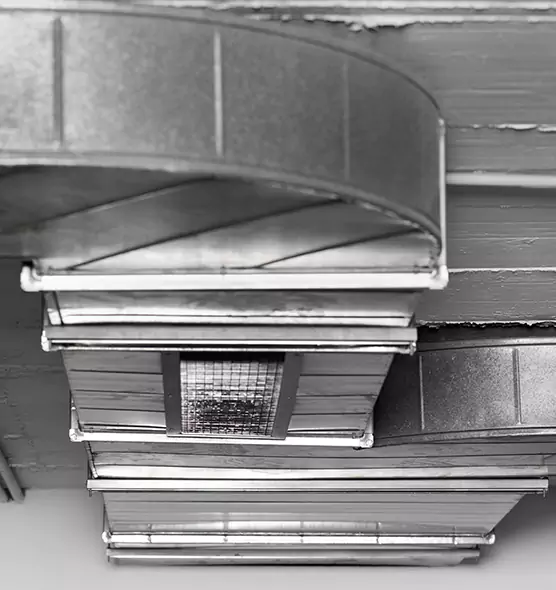 Professional Air Duct Pet Hair Removal in Staunton, VA