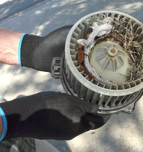 About Air Duct Rat Removal in Staunton, VA