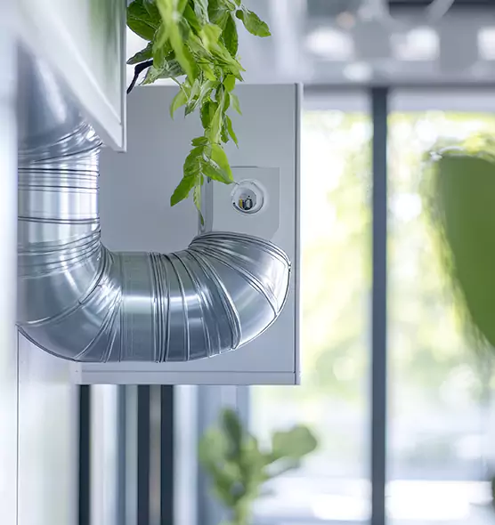 Professional Eco-Safe Dryer Vent Cleaning in Staunton, VA