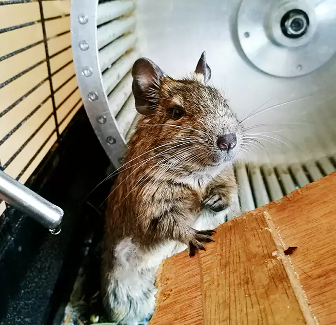 Why Homeowners & Businesses Trust Us Staunton, VA