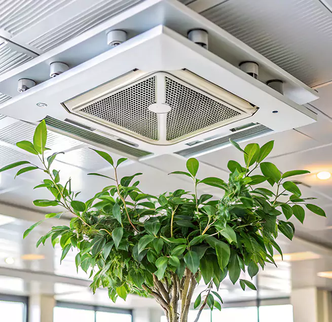 Why Homeowners & Businesses Trust Us in Staunton, VA?