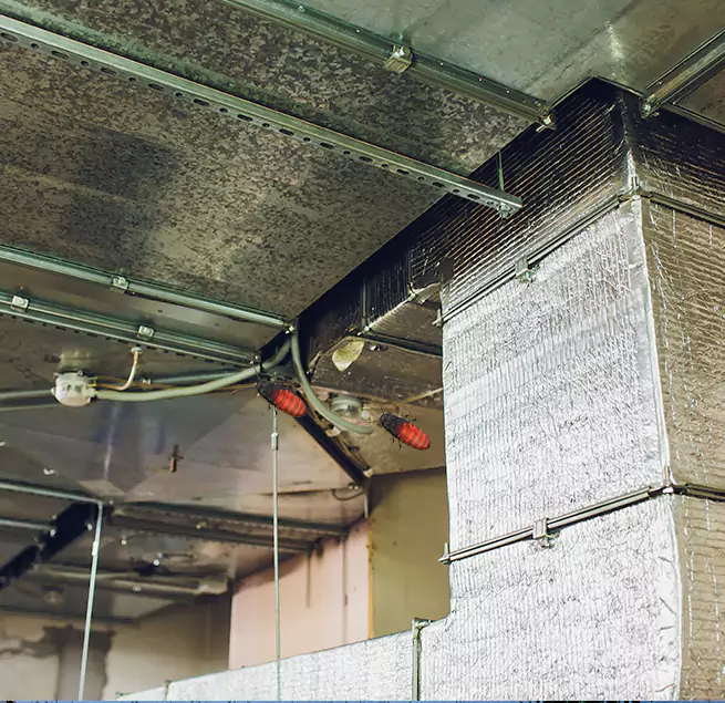 Why Homeowners & Businesses Trust Us Staunton, VA?